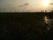 夕陽、大海與友情