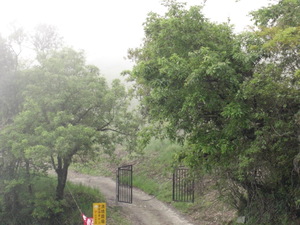 再現美麗島2007年數位�