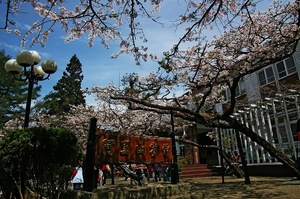 再現美麗島2007年數位島嶼攝影比賽