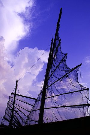 再現美麗島2007年數位�