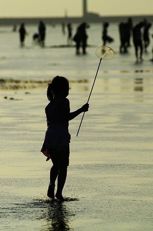 再現美麗島2007年數位�