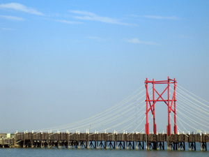 再現美麗島2007年數位�