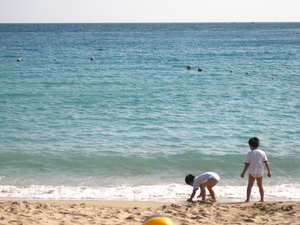 再現美麗島2007年數位�