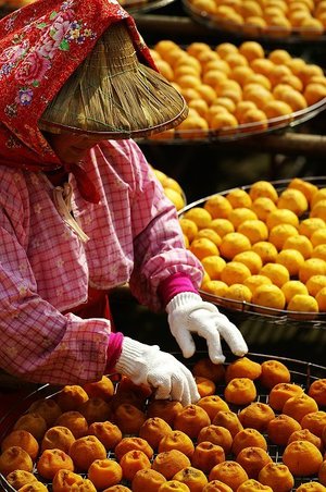 再現美麗島2007年數位�