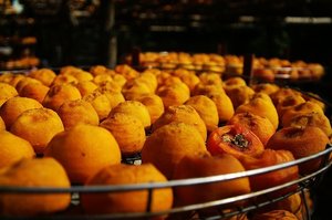 再現美麗島2007年數位�