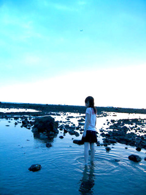 再現美麗島2007年數位�