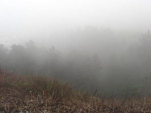 再現美麗島2007年數位�