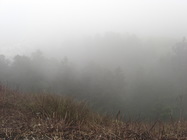 再現美麗島2007年數位�