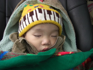 再現美麗島2007年數位�