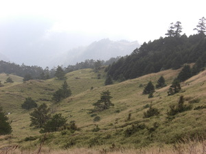 再現美麗島2007年數位�