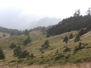 再現美麗島2007年數位�