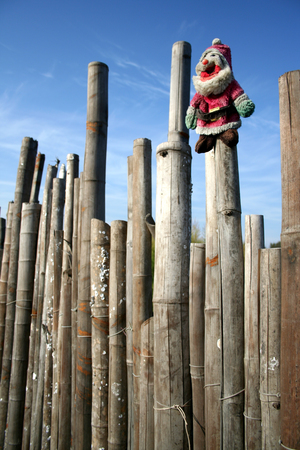 再現美麗島2007年數位�