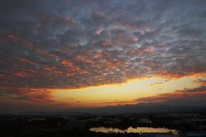 再現美麗島2007年數位�