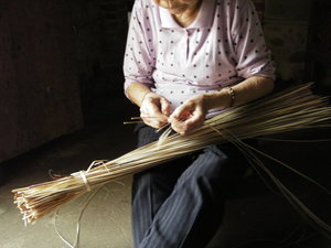 再現美麗島2007年數位�