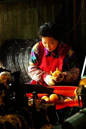 再現美麗島2007年數位�