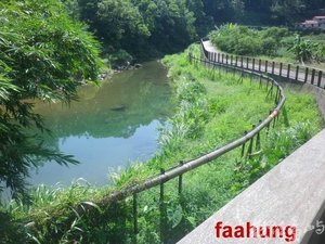 2014.08.24.坪林.金瓜寮溪.觀魚賞蕨步道 