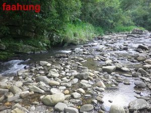 2014.08.24.坪林.金瓜寮溪.觀魚賞蕨步道 