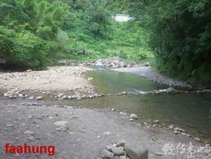 2014.08.24.坪林.金瓜寮溪.觀魚賞蕨步道 