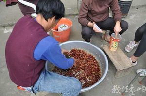 協會鼓勵村民邁向觀光休閒農業