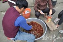 協會鼓勵村民邁向觀光休閒農業