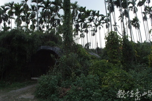 檳榔下的洞穴