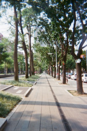 台中綠園道 / Yun 攝(底片)