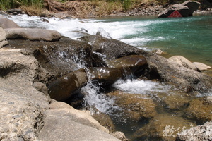 20130906拍攝於雙流森林公園021