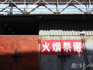 台北機場一偶/陳旺展 2012年拍攝