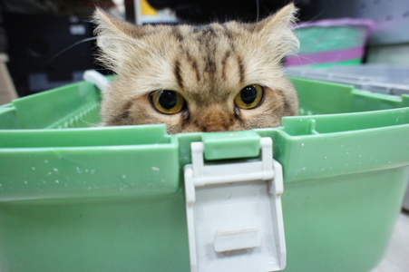 test
