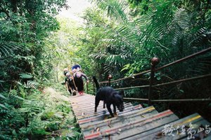登山/2015/太魯閣步道