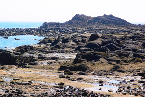 20150602拍攝於學仔尾013