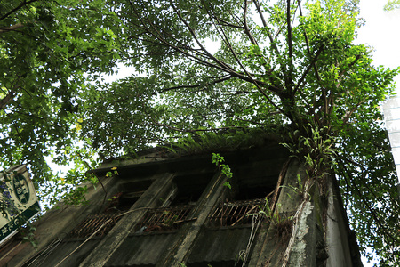 廢棄.環境.永續