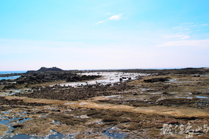 20150602拍攝於學仔尾016