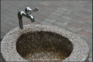 水龍頭_03_台北植物園_Schneider TV-Xenon 100mm F2 & Nikon D800.jpg