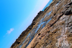 20150602拍攝於學仔尾015