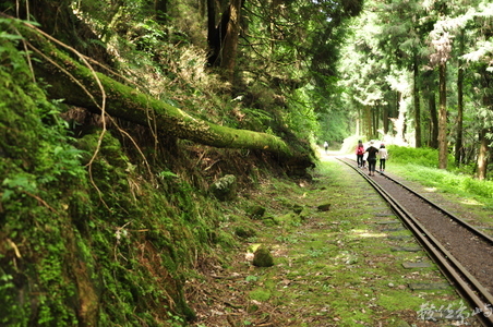 廢棄，環境，永續