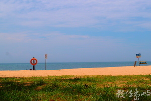 20150601拍攝於隘門沙灘001