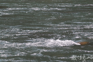 20150305拍攝於奇美部落051