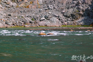 20150305拍攝於奇美部落053