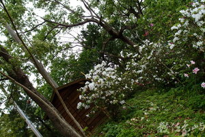 20150304拍攝於林田山林業文化園區024