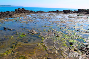 20150602拍攝於學仔尾012