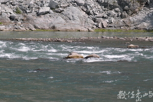 20150305拍攝於奇美部落048