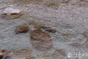 20141014拍攝於大興瀑布009