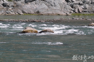 20150305拍攝於奇美部落050