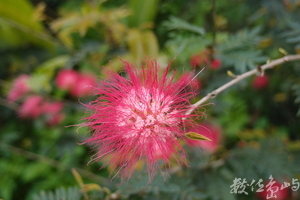 20150304拍攝於馬太鞍濕地文化館012