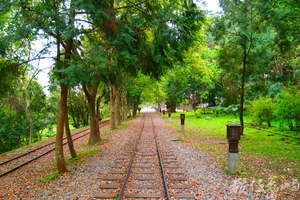 20150304拍攝於林田山林業文化園區028