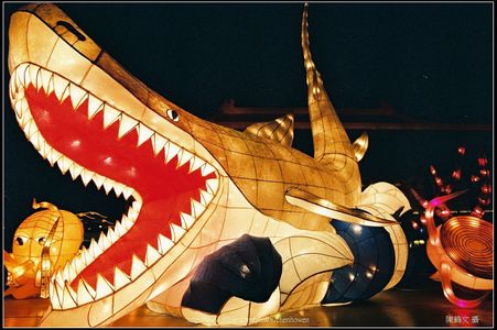 日本 Canon 佳能 鏡頭 攝影集