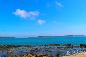 20150602拍攝於學仔尾008