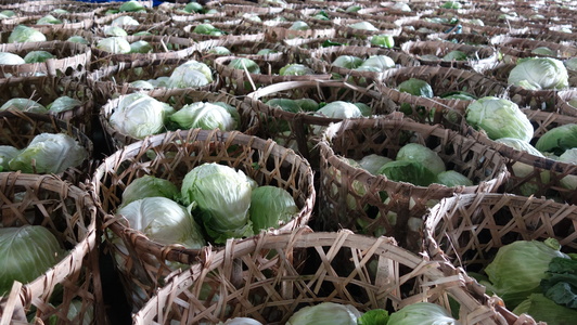 第二果菜批發市場