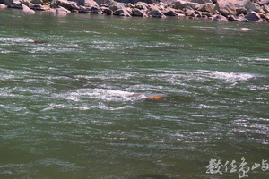 20150305拍攝於奇美部落052